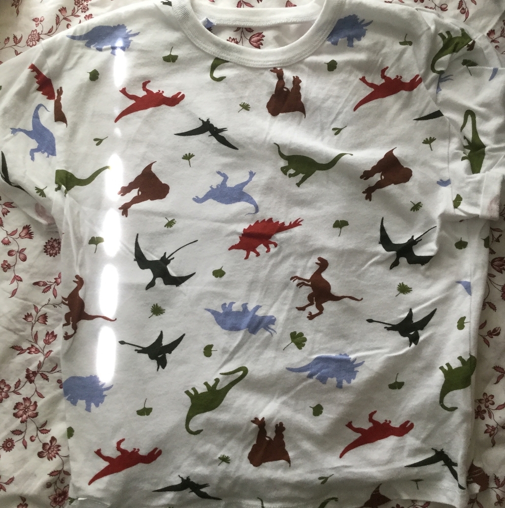 Dinosaur print graphic crop top